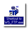 ws ftp icon