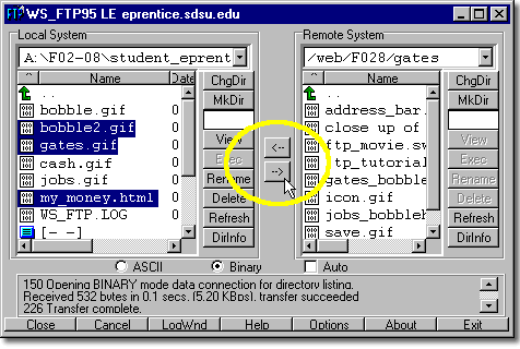 uploading and downloading files